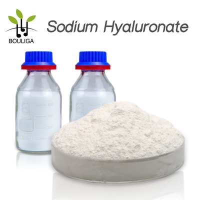 Begabtes Klassen-Nahrungsmittelgrad-Natrium Hyaluronate 500g/Tasche liefern freie Probe
